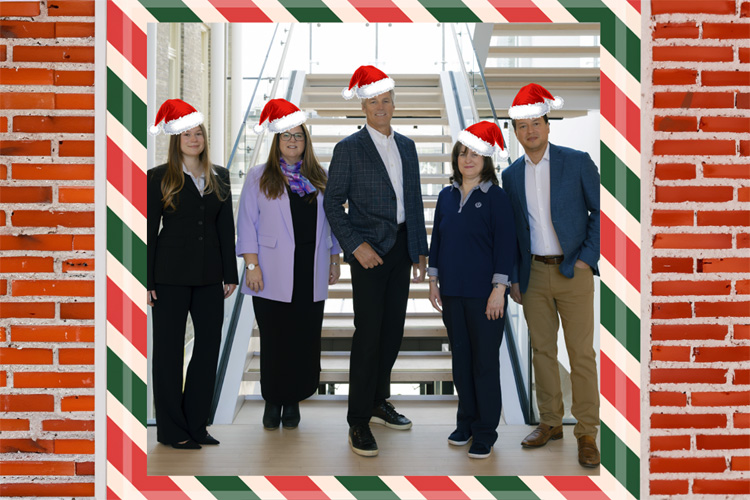 holidays 2025 bricks